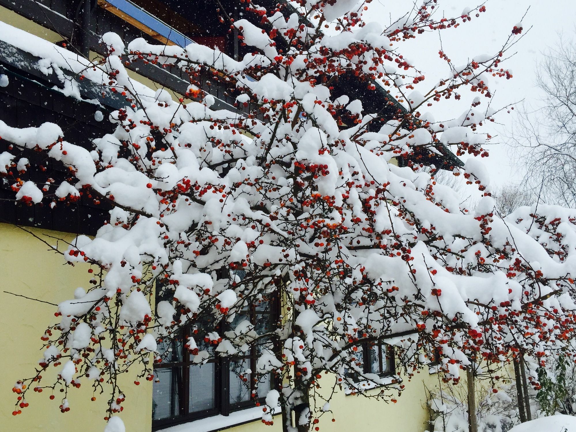 Das Wiesgauer - Alpenhotel อินเซลล์ ภายนอก รูปภาพ